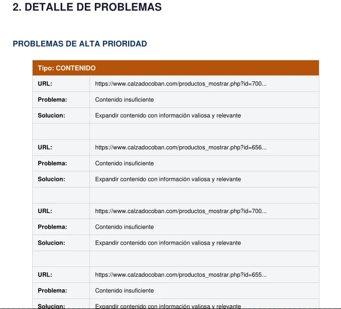 Pantalla 2 de Herramienta SEO propia: auditoría técnica automatizada de cualquier sitio